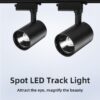30W Tracking Light
