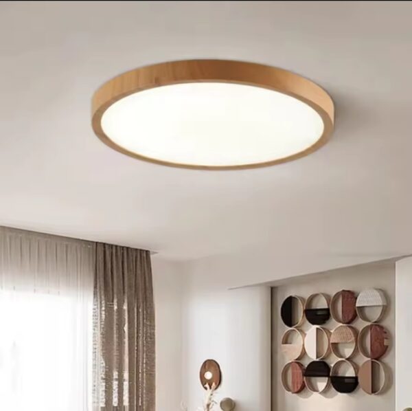 22 LED Ceiling Light