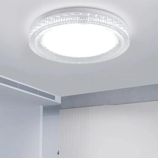 LED Ceiling Light